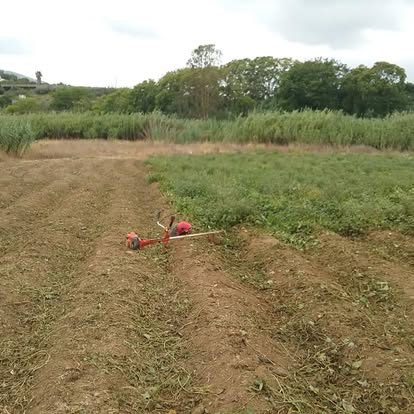 Field land clearing and strimming work