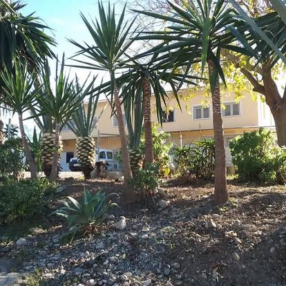 Tropical garden surrounding property