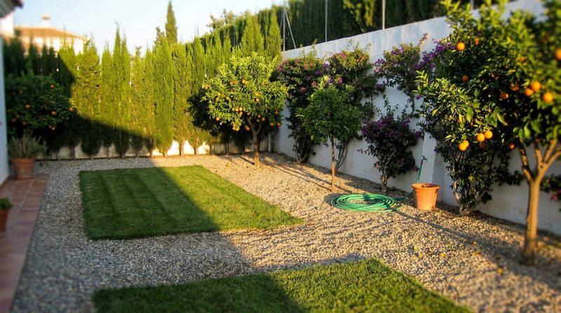 Well-maintained Mediterranean garden with citrus trees